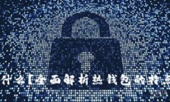 IM钱包是什么？全面解析热钱包的特点与安全性