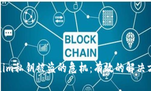 如何应对Tokenim私钥被盗的危机：有效的解决方案与预防措施