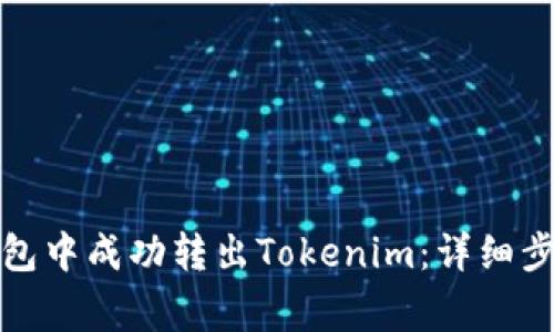 如何在波场钱包中成功转出Tokenim：详细步骤与注意事项