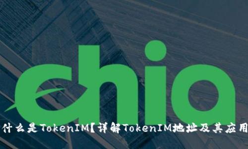 什么是TokenIM？详解TokenIM地址及其应用