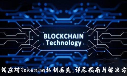  
如何应对Tokenim私钥丢失：详尽指南与解决方案