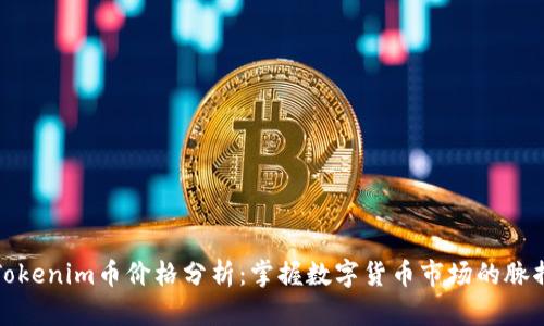Tokenim币价格分析：掌握数字货币市场的脉搏