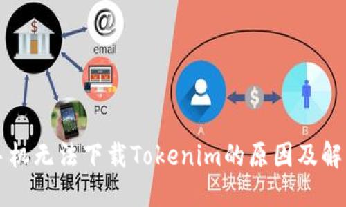 苹果手机无法下载Tokenim的原因及解决方案