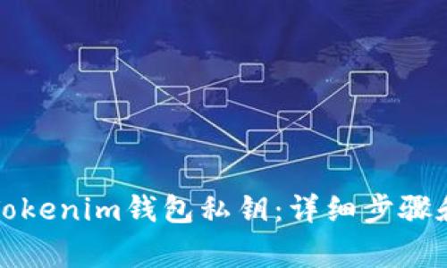 如何导出Tokenim钱包私钥：详细步骤和注意事项