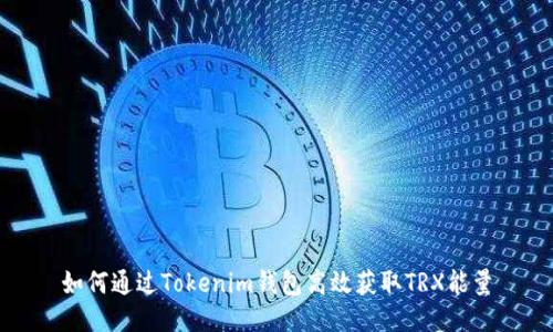 如何通过Tokenim钱包高效获取TRX能量