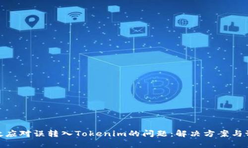 如何有效应对误转入Tokenim的问题：解决方案与预防措施