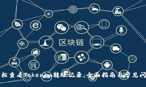 如何轻松查看Tokenim转账记录：全面指南与常见问题解答