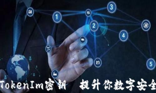 
全面解析TokenIm密钥｜提升你数字安全的新利器