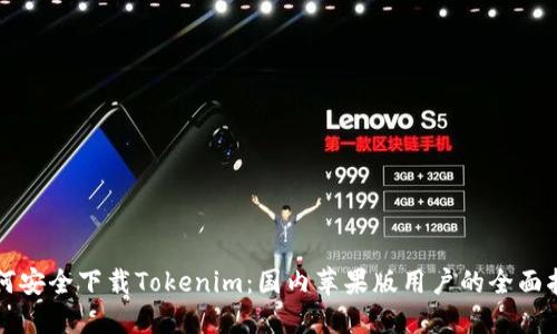 如何安全下载Tokenim：国内苹果版用户的全面指南