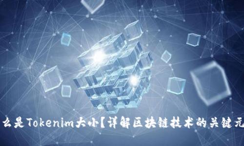 什么是Tokenim大小？详解区块链技术的关键元素
