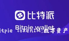 深入探讨Bitpie TokenIM：数字资产的未来之路