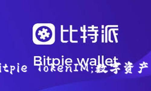深入探讨Bitpie TokenIM：数字资产的未来之路