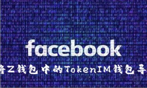 详细教程：如何将Z钱包中的TokenIM钱包导入你的数字资产