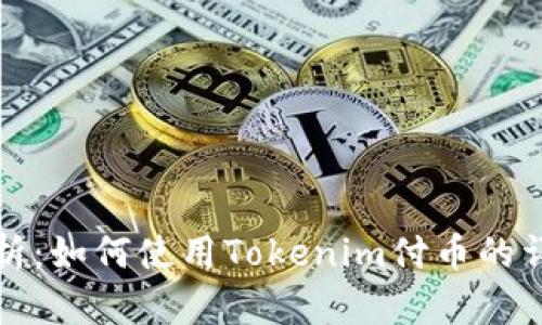 全面解析：如何使用Tokenim付币的详细教程