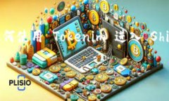 进入 ShibSwap 的过程相对简单，但对于初学者来说