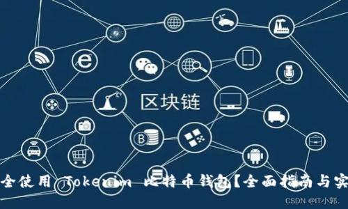 如何安全使用 Tokenim 比特币钱包？全面指南与实用技巧