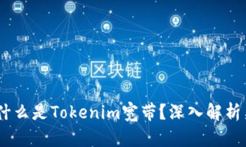 ## 什么是Tokenim宽带？深入解析与应用