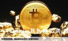 如何正确导入Tokenim钱包助记词，避免乱码问题