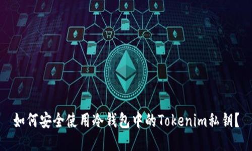 如何安全使用冷钱包中的Tokenim私钥？