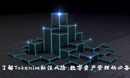 深入了解Tokenim标注风险：数字资产管理的必备知识