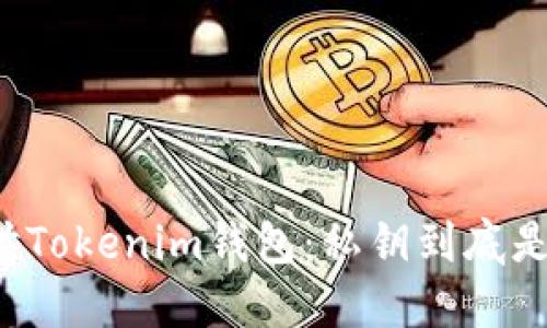 深度探讨Tokenim钱包：私钥到底是密码吗？