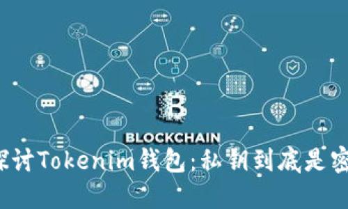 深度探讨Tokenim钱包：私钥到底是密码吗？