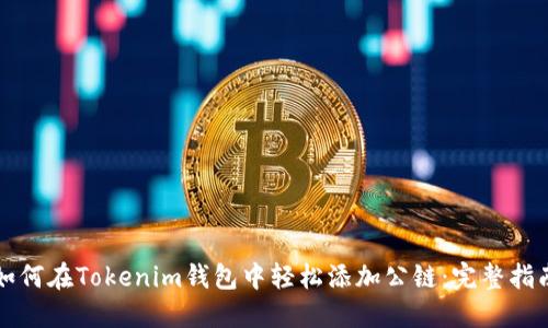 如何在Tokenim钱包中轻松添加公链:完整指南