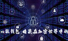 探索Tokenim假钱包：暗藏在加密世界中的风险与对