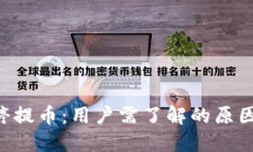 Tokenim暂停提币：用户需了解的原因和应对措施