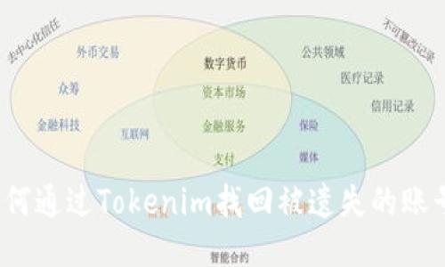 如何通过Tokenim找回被遗失的账号？