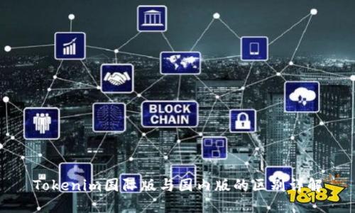 Tokenim国际版与国内版的区别详解