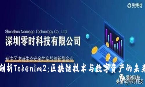 深入剖析Tokenim2：区块链技术与数字资产的未来趋势