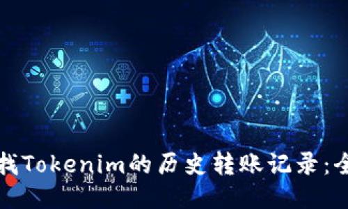 如何查找Tokenim的历史转账记录：全面指南