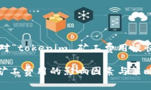 以下是针对“tokenim 矿工费用慢快”的内容。

Tokenim矿工费用的影响因素与策略