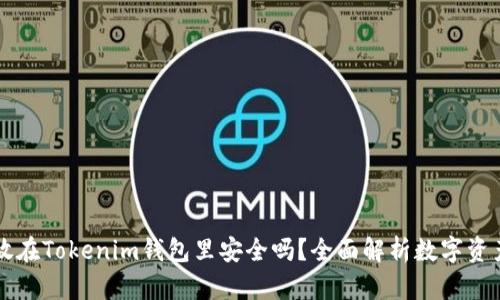 币长期放在Tokenim钱包里安全吗？全面解析数字资产安全性