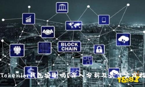 : Tokenim钱包安全吗？深入分析及最佳实践指南