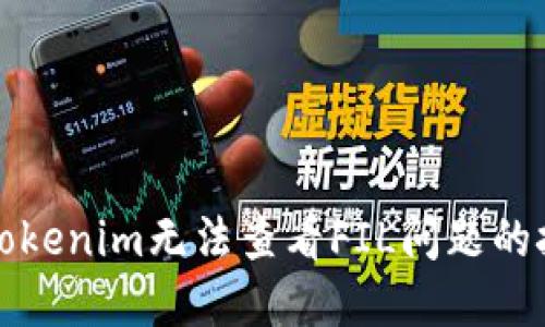 如何解决Tokenim无法查看FIL问题的技巧与指南