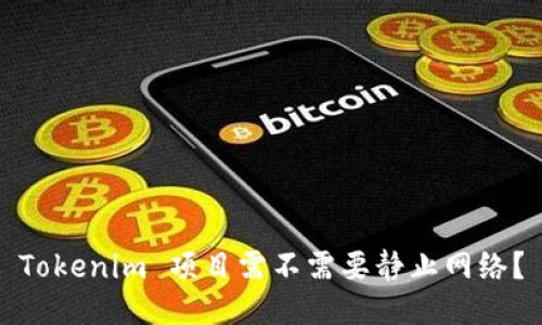 Tokenim 项目需不需要静止网络？