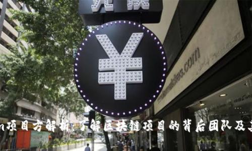Tokenim项目方解析：了解区块链项目的背后团队及其影响力