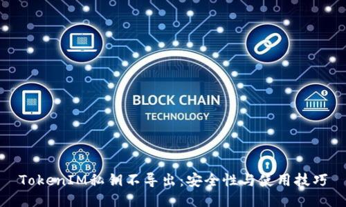 TokenIM私钥不导出：安全性与使用技巧