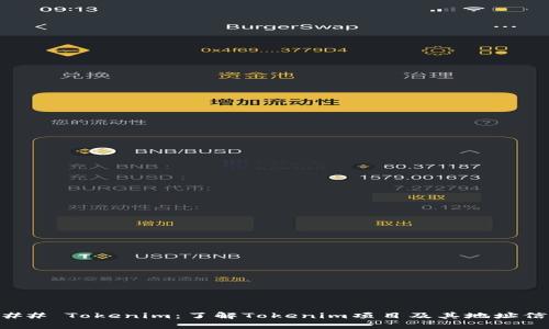 ### Tokenim：了解Tokenim项目及其地址信息