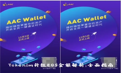 Tokenim升级EOS金额解析：全面指南
