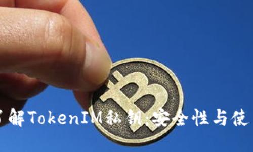 深入了解TokenIM私钥：安全性与使用指南