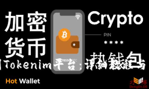 如何将币转到Tokenim平台：详细教程与常见问题解答