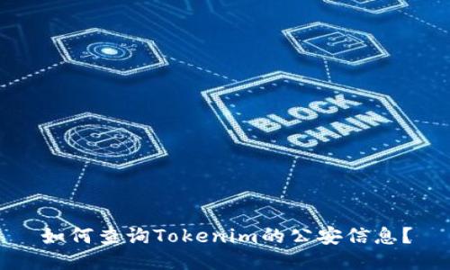 如何查询Tokenim的公安信息？
