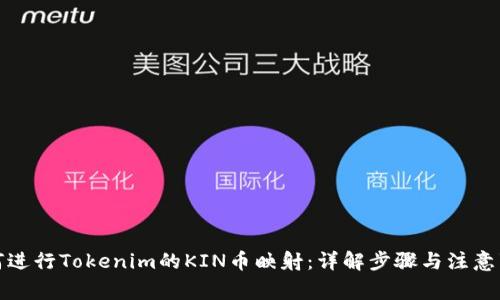 如何进行Tokenim的KIN币映射：详解步骤与注意事项