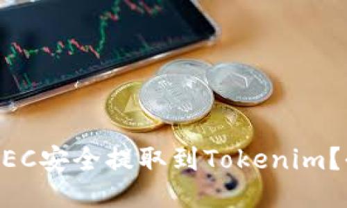 如何通过ZEC安全提取到Tokenim？全方位指南