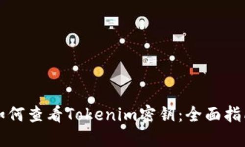 如何查看Tokenim密钥：全面指南