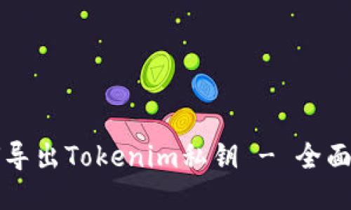 如何导出Tokenim私钥 - 全面指南