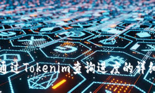 如何通过Tokenim查询进度的详细指南